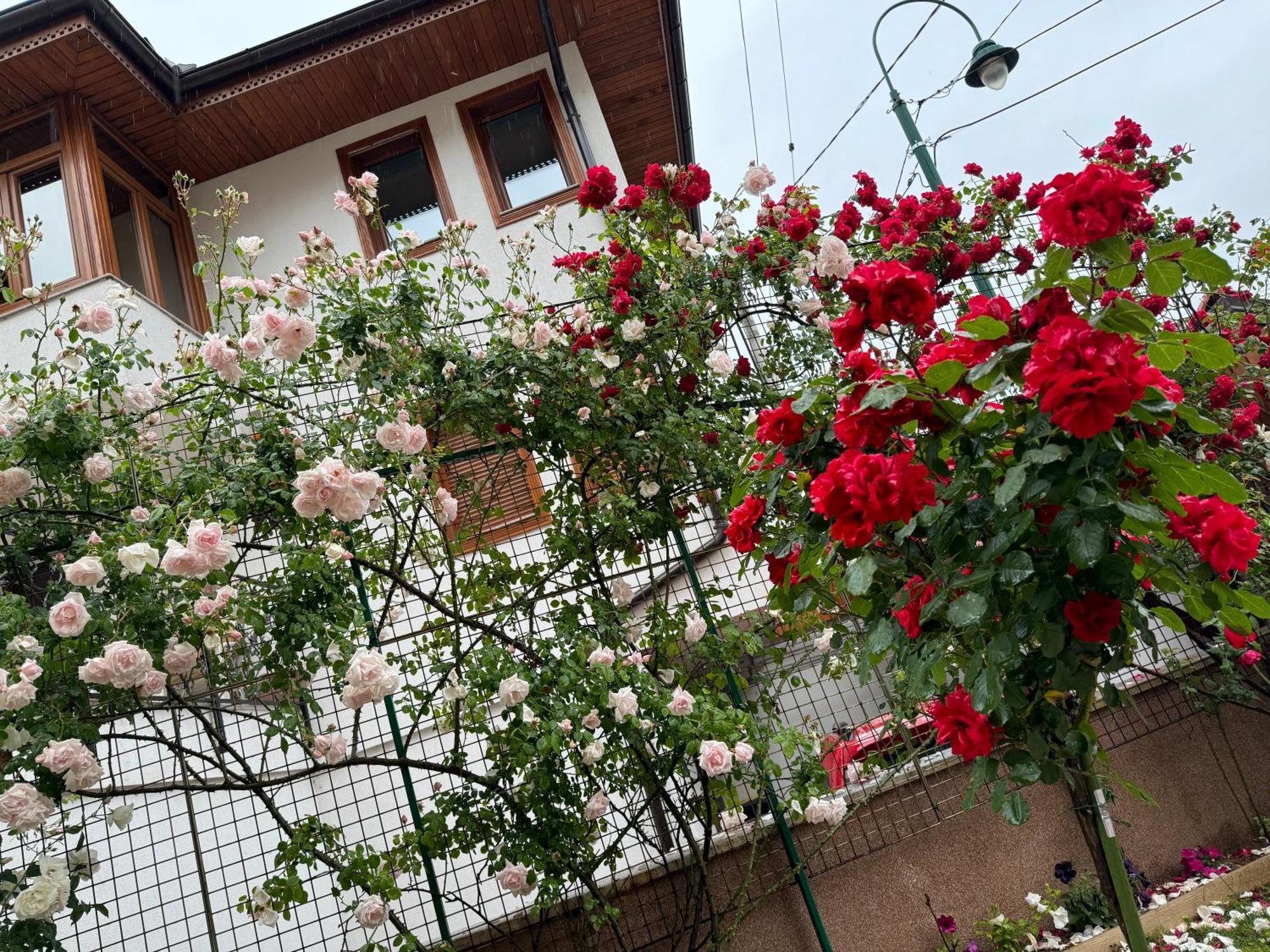 Imas Apartment Сараево Екстериор снимка