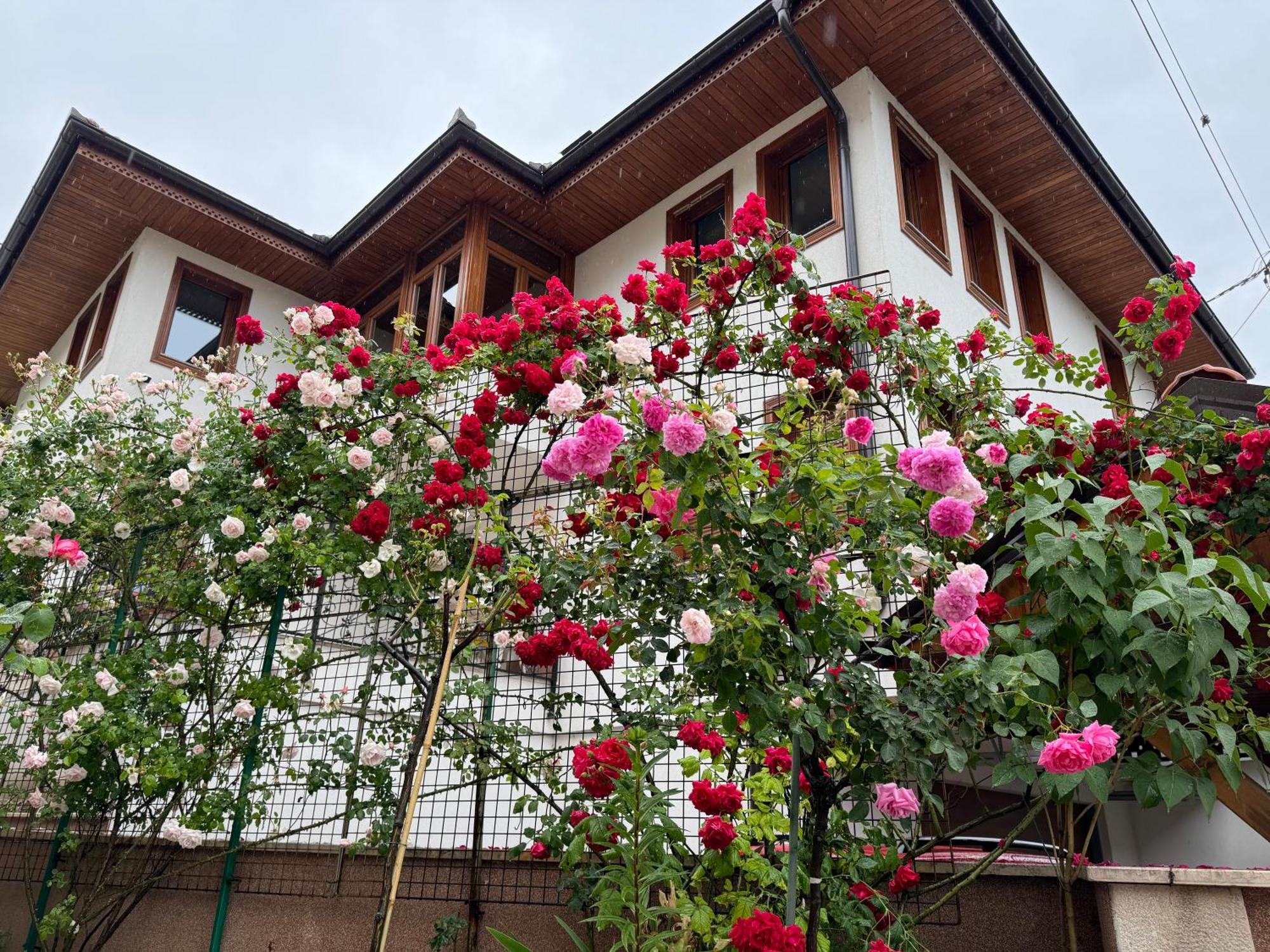 Imas Apartment Сараево Екстериор снимка